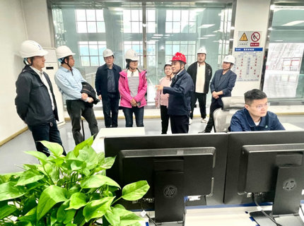 水利部減災(zāi)中心（防御中心）調(diào)研澧水公司水旱災(zāi)害防御和數(shù)字孿生工作