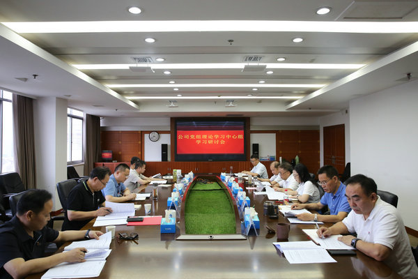 澧水公司黨組理論學(xué)習(xí)中心組開展主題教育第四次集中學(xué)習(xí)研討