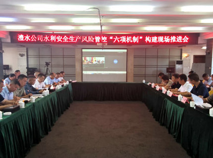 澧水公司召開水利安全生產風險管控“六項機制”構建現場推進會