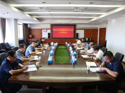 公司黨組理論學習中心組專題學習研討“三大精神”和總體國家安全觀